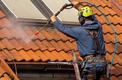 Démoussage et hydrofuge de toiture à Trannes